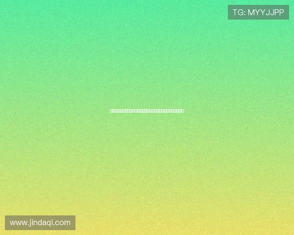 历届德甲冠军回顾与分析，探寻德国足球霸主的历史轨迹与未来走势