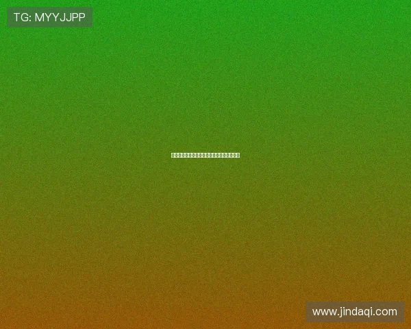 法甲教练团队实力解析与战术布局全方位剖析