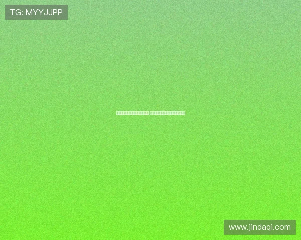 布雷默：尤文上赛季缺乏领袖 新赛季图多尔将助我们重塑核心